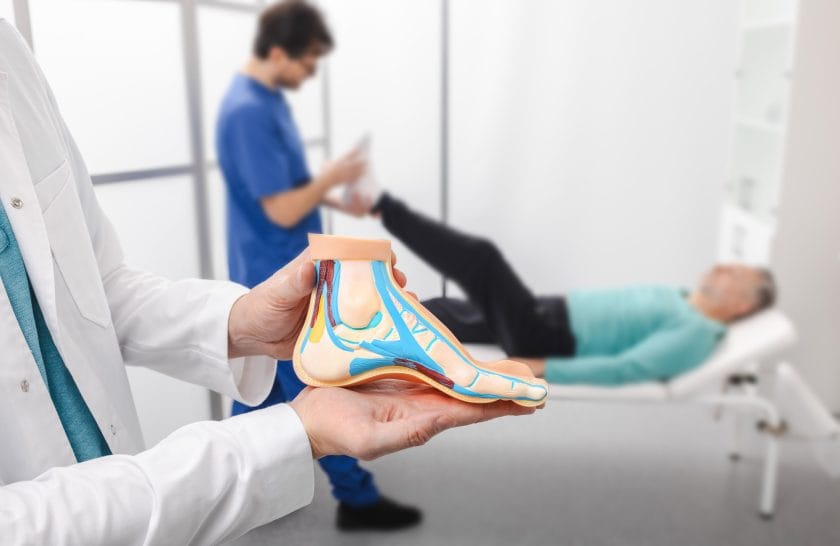Podiatrist holding a model of a foot.